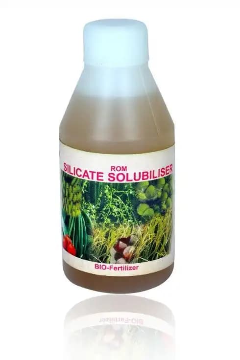 ROM Silica Solubliser (Liquid Bio Fertilizer) Can Be Used On All Crops - Image 1