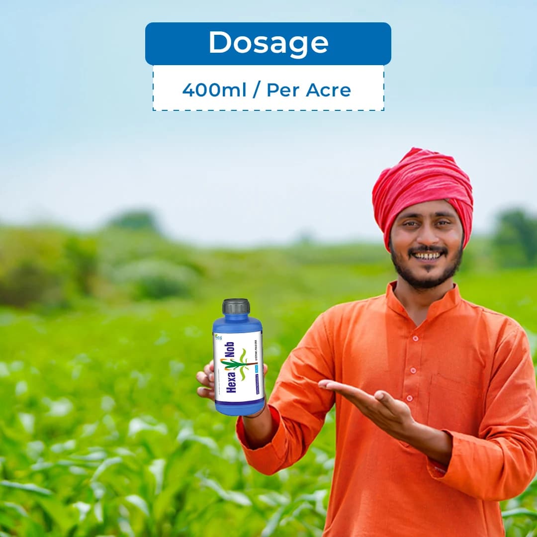 Hexanob Fungicide - Hexaconazole 5% SC - Image 5