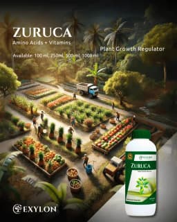 Exylon Zuruca Amino Acid & Vitamin Plant Growth Regulator, Bio-Stimulant for Growth & Stress Resistance For All Crops 2