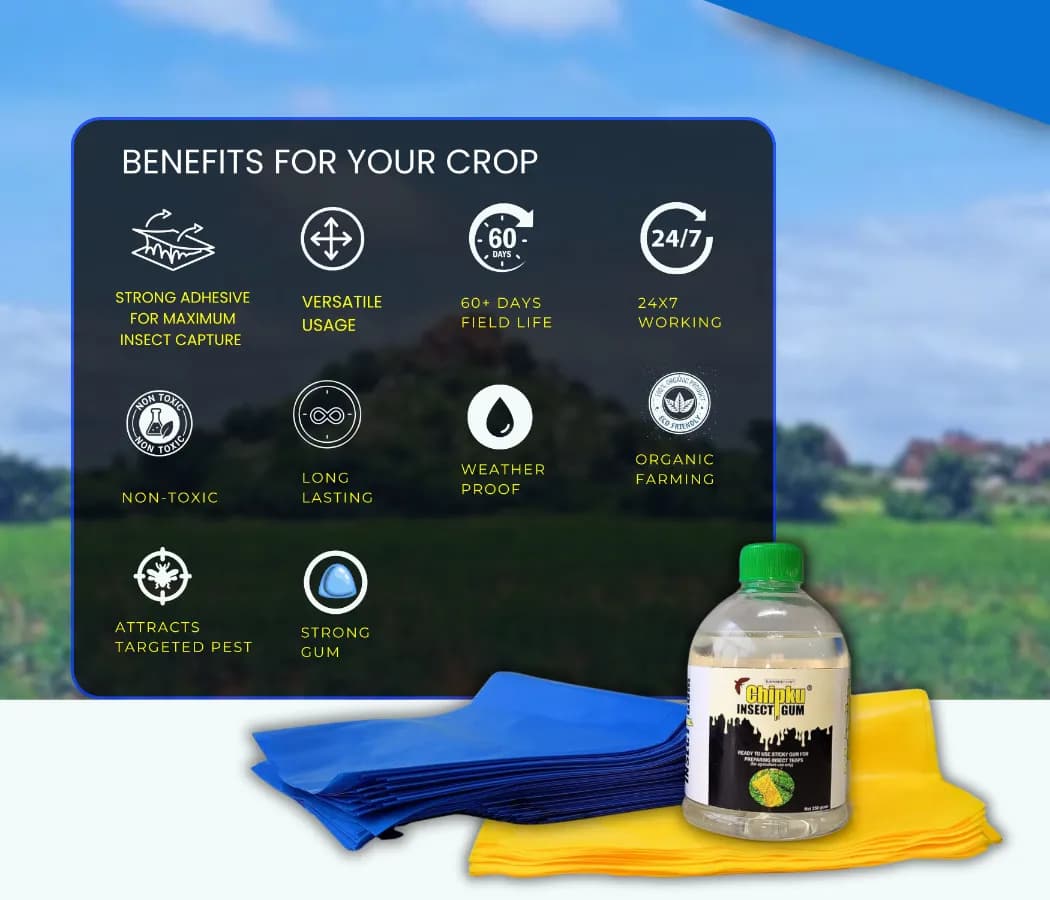 Chipku Pest Control Kit, Includes Gum Bag, Sticky Traps, DIY Pack , Gum Bottle, Yellow & Blue Polybags - Image 5