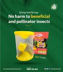 T.Stanes Entrap Fruit Fly Trap, Eco-Friendly & Effective Male Fruit Fly Control For Various Fruits 3