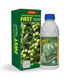 Katyayani Onion Bulb Growth Booster Combo, Advanced Nutrient Solution (Fast 100ml, Boron 20% EDTA 400gm) 4