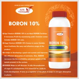 Agriventure BORON 10%, Water Soluble Fertilizer, Use For Vegetable and Fruits. 2
