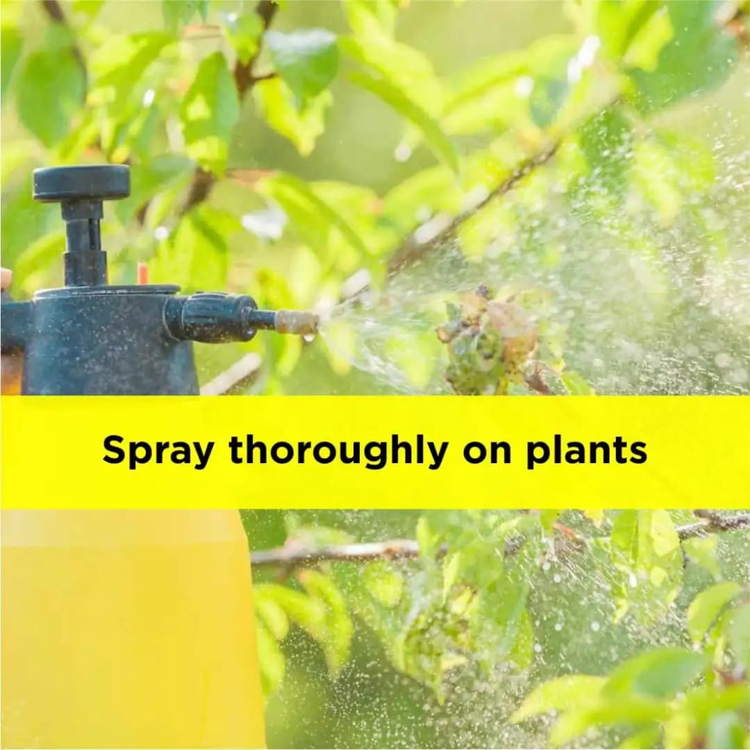 Titan Agritech NIIMPA 10000 Azadirachtin 1% Biopesticide, 10000 PPM, Broad-Spectrum And Natural Pest Management - Image 5