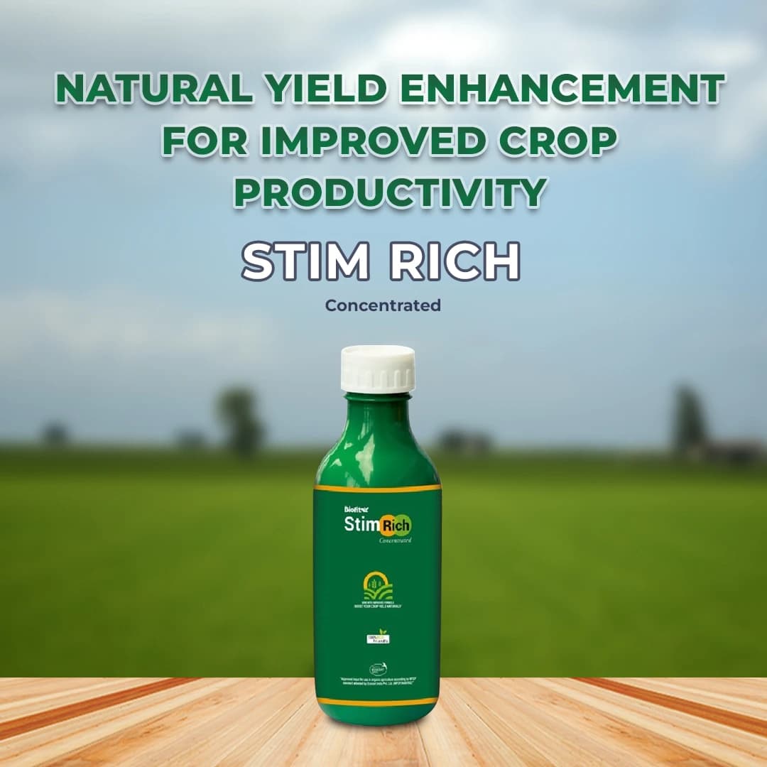 Netsurf Biofit Stim Rich Concentrated - Image 2