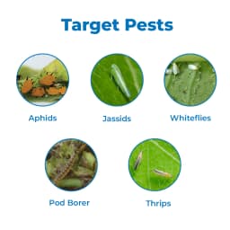 Dr. Anand Neem 0.15% Bio Insecticide, Prepared From Azadirachtin 1500 PPM and Neem Seeds Kernels Extract 3