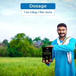 UTKARSH Huminoz-98 Humic Acid 98% for Plant, Plant Fertilizer For Potted Plants, Plant Growth Enhancer, Soil Conditioner, Improves Plant Root System 5