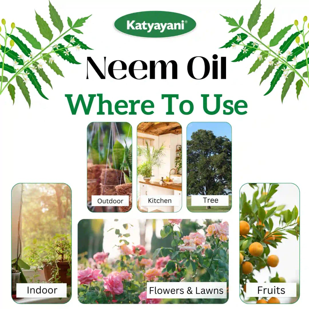 Katyayani Activated Neem Oil, Azadiractin Indica, 100% Organic Pesticide Derived From Cold Pressed Neem Oil - Image 6