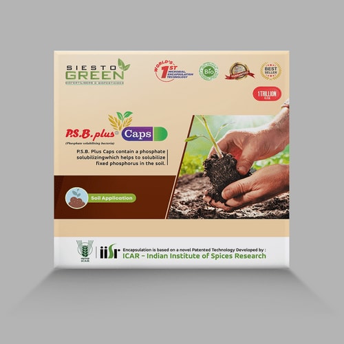 Siesto PSB Plus. Contain phosphate solubilizing bacteria, A novel patented technology developed by the ICAR-Indian institute of spices research.