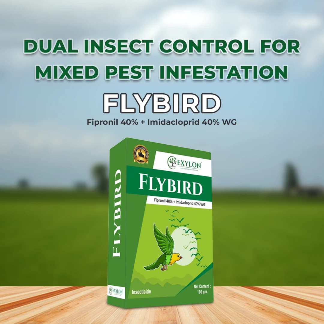 Exylon Flybird Fipronil 40% + Imidacloprid 40% WG Insecticide, Dual-Action, Effective Pest Control - Image 2