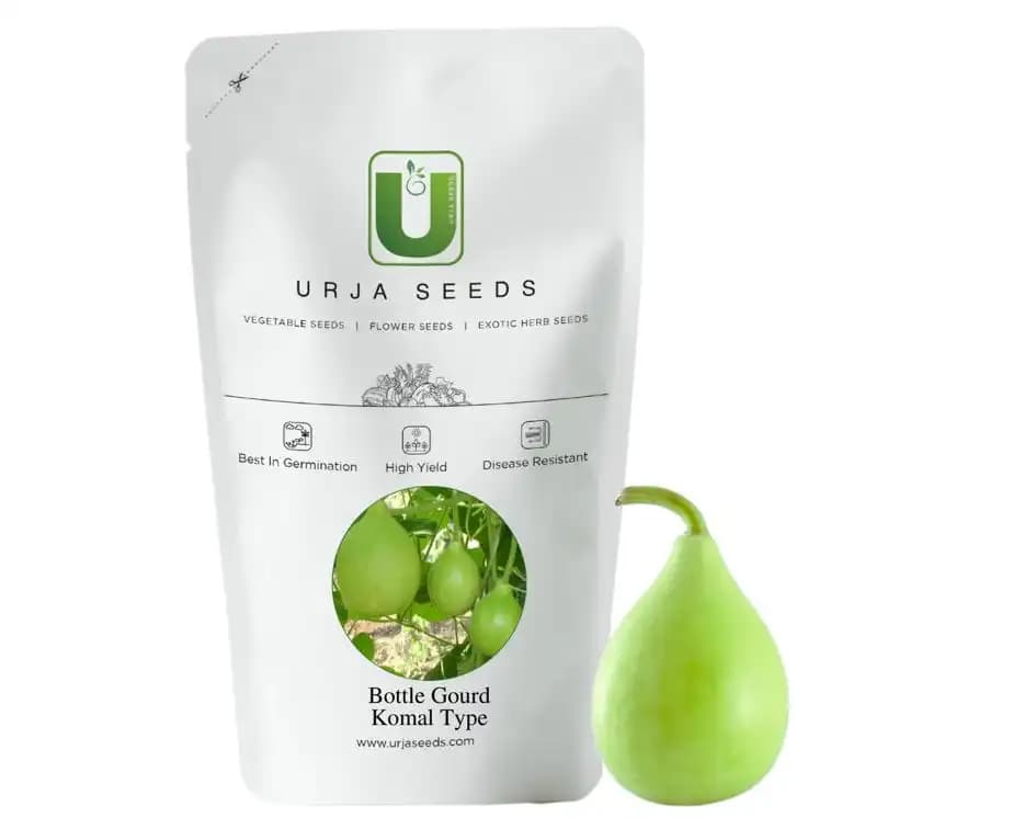 Urja Bottle Gourd F1 Hybrid BGHS 355 Komal Type, Dark Green Deep Green Ridged Fruits - Image 1