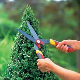 Wolf Garten Hedge Shears (HS-B), Specially Designed To Be Used On Box Trees And Other Topiary Plants 5