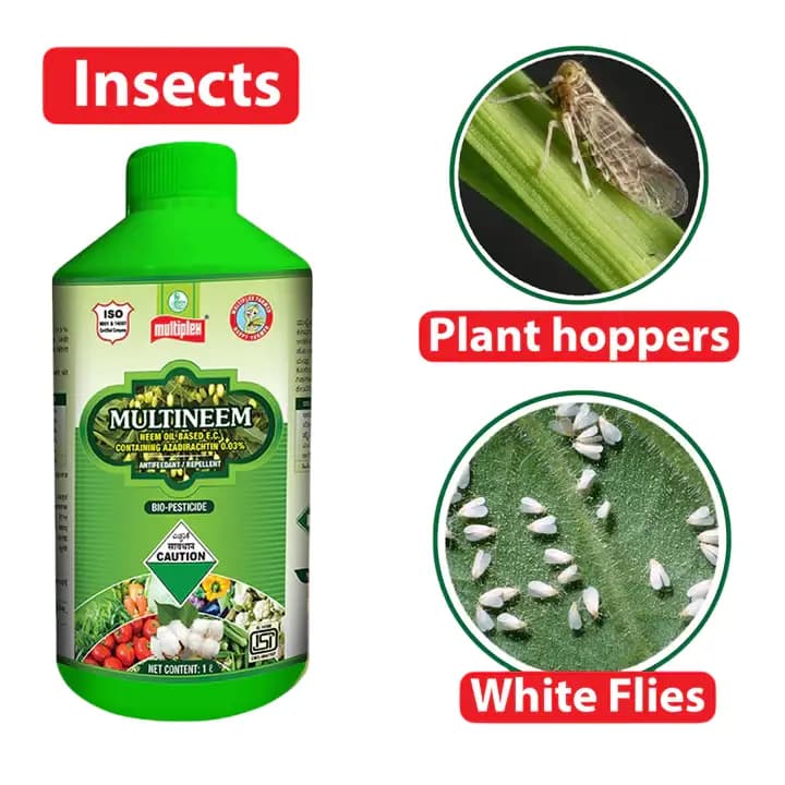 Multiplex Multineem (Neem Oil Based E.C) Azadirachtin 0.03% Bio Insecticide, Effectively Controls Leaf-Eating Caterpillars as Well as Sucking Pests. - Image 2