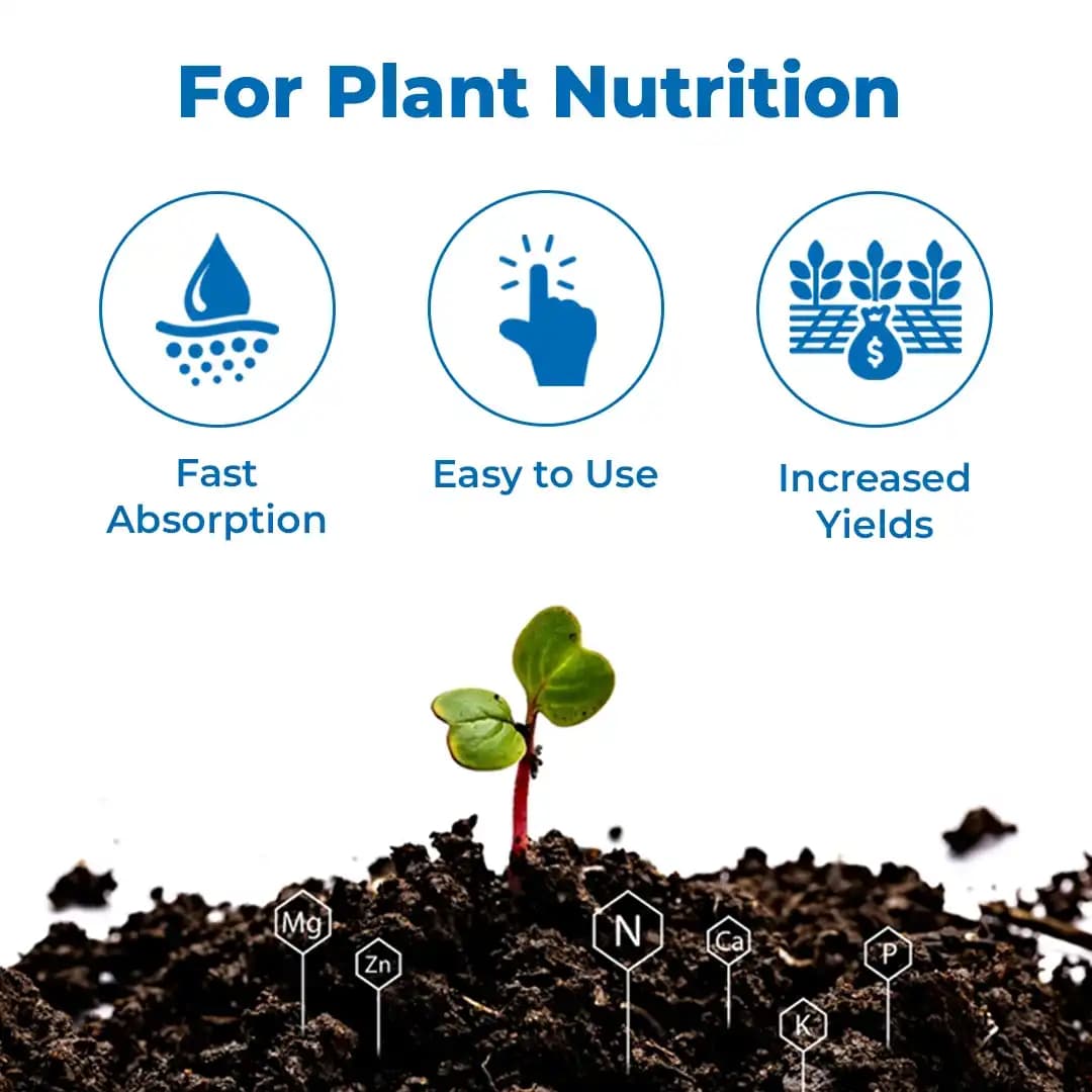 NPK 19:19:19 Fertilizer - 100% Water Soluble - Image 3