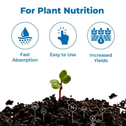 NPK 19:19:19 Water Soluble Fertilizer, 100% Water Soluble, Contain Nitrogen, Phosphorus And Potassium. 3