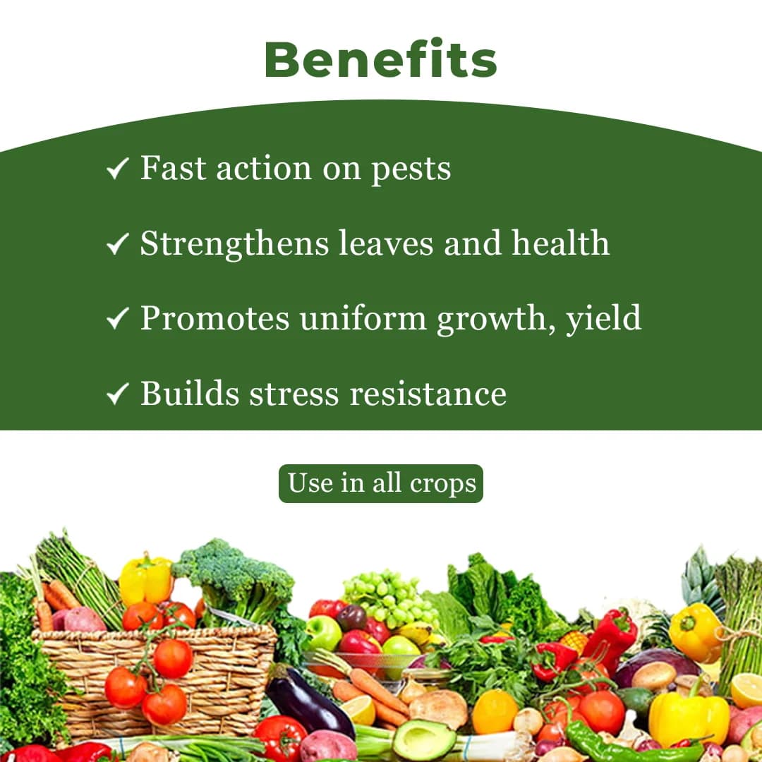BACF Leemdo Systemic & Contact Insecticides - Image 4