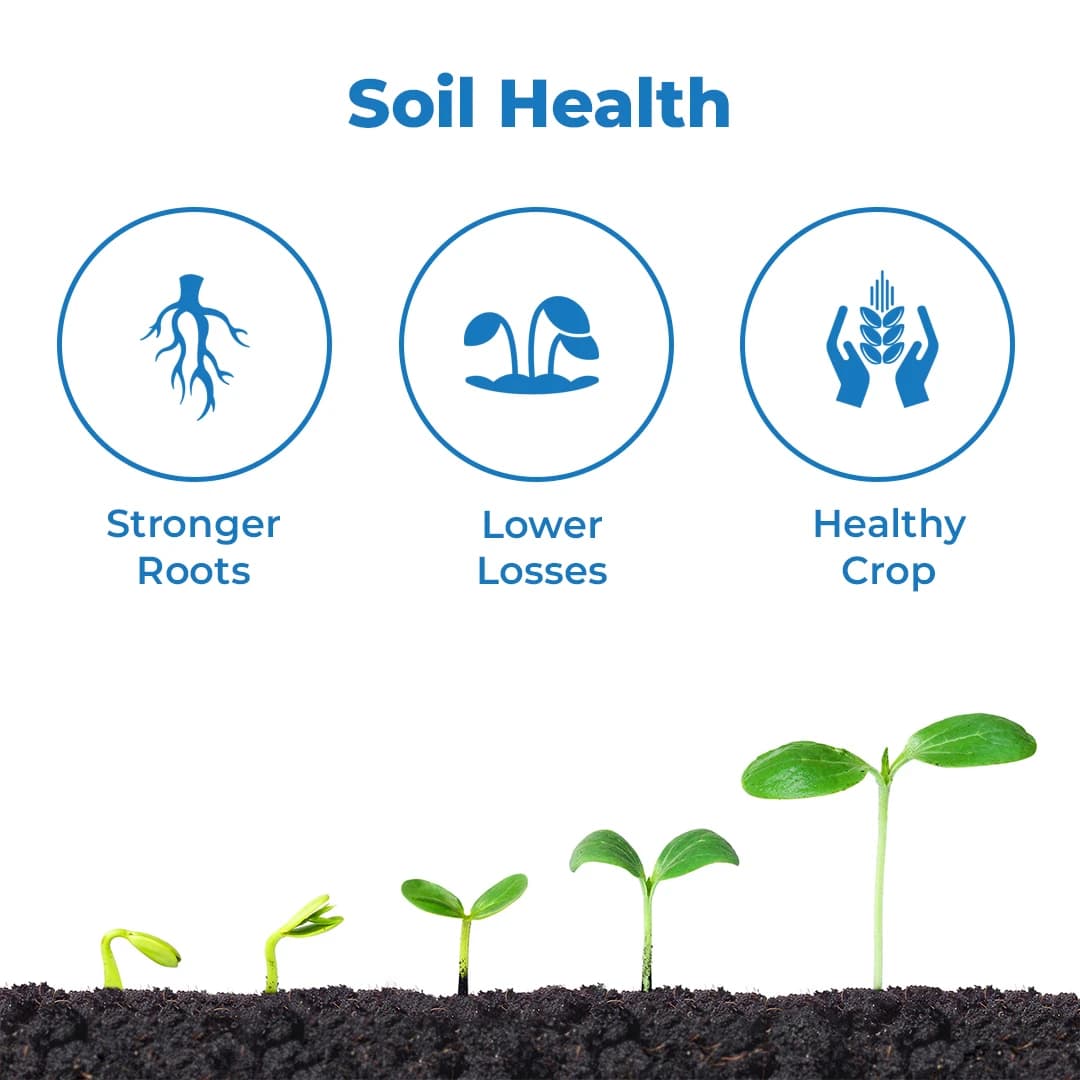 ROM Trichoderma Liquid Bio-Fungicide - Image 3