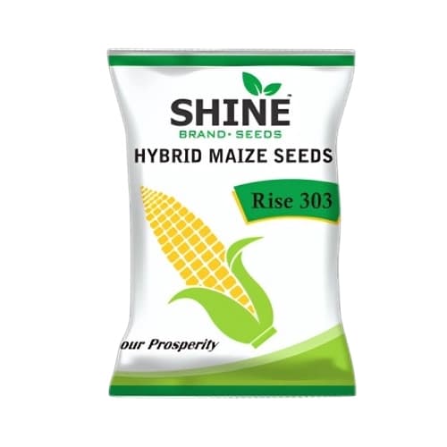 Maize Rise 303 Hybrid - Shine Brand Seeds, Makka Seed, Field Crops, Cereal Crop - Image 1