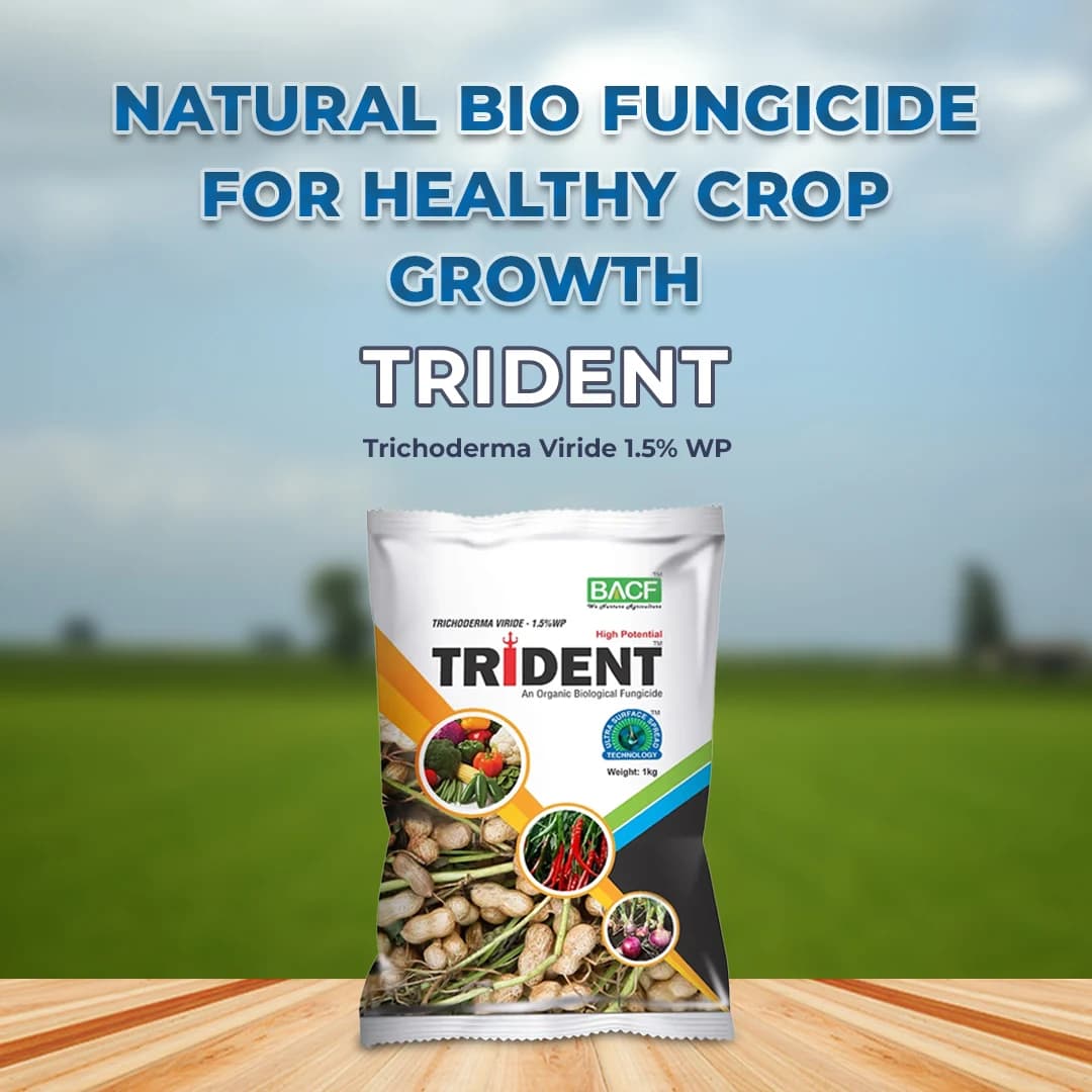 BACF Trident Trichoderma Viride 1.5% WP, An Organic Biological Fungicide For All Type of Field And Horticulture Crops - Image 2