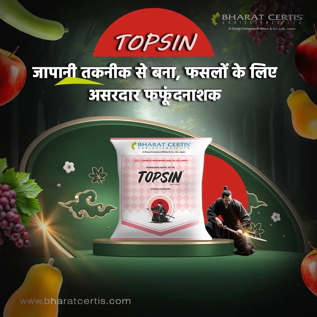 Bharat Certis Topsin Fungicide - Broad-Spectrum Systemic Fungal Diseases Control - Image 3