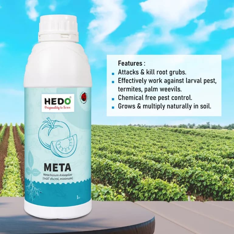 HEDO Meta (Metarhizium Anisopliae) Liquid Bio Pesticide For Agriculture, Garden & All Crops To Control Beetles, Weevils, White Grubs, Aphids & Thrips - Image 3