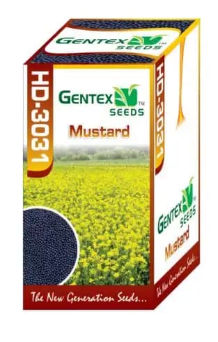 Gentex HD-3031 F1 Hybrid Mustard Seeds, Sarson Ke Beej, Sarsav Na Bee, Good Germination Quality - Image 2