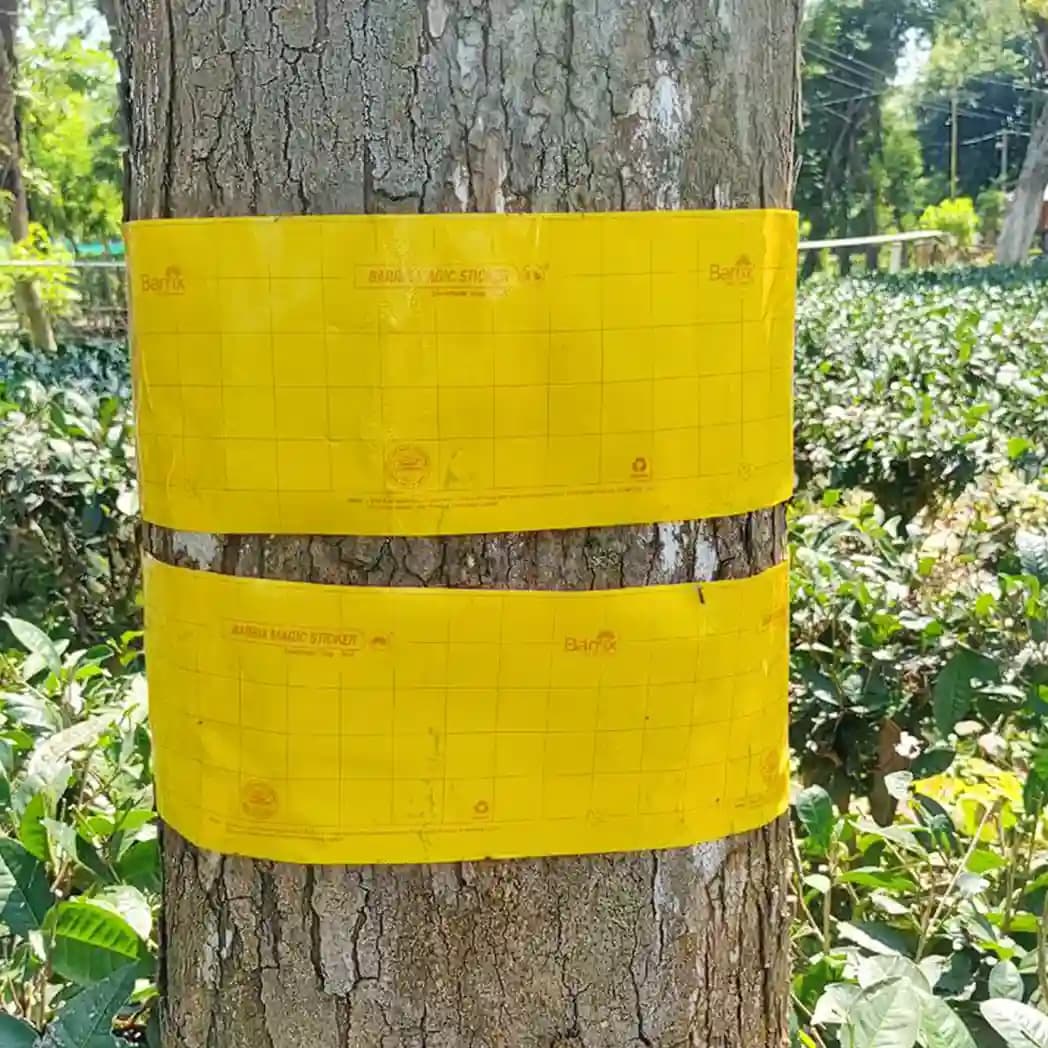 Barrix Magic Chromatic Trap Sticker Roll, Non-Drying, Non-Fading, Non-Dripping. Uses for Organic farms, Open field, Gardens, Nurseries, Orchards. - Image 4