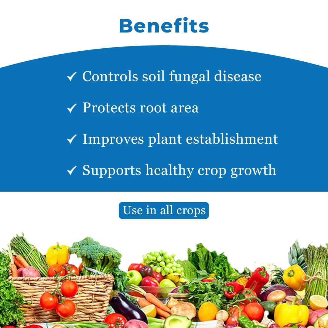 Dr. Bacto\'s Bactus 4K Bacillus Subtilis Bio-Fungicide, Inhibits Growth of Plant Fungal Pathogens and Helps to Enhance the Growth and Immunity of Plant - Image 4