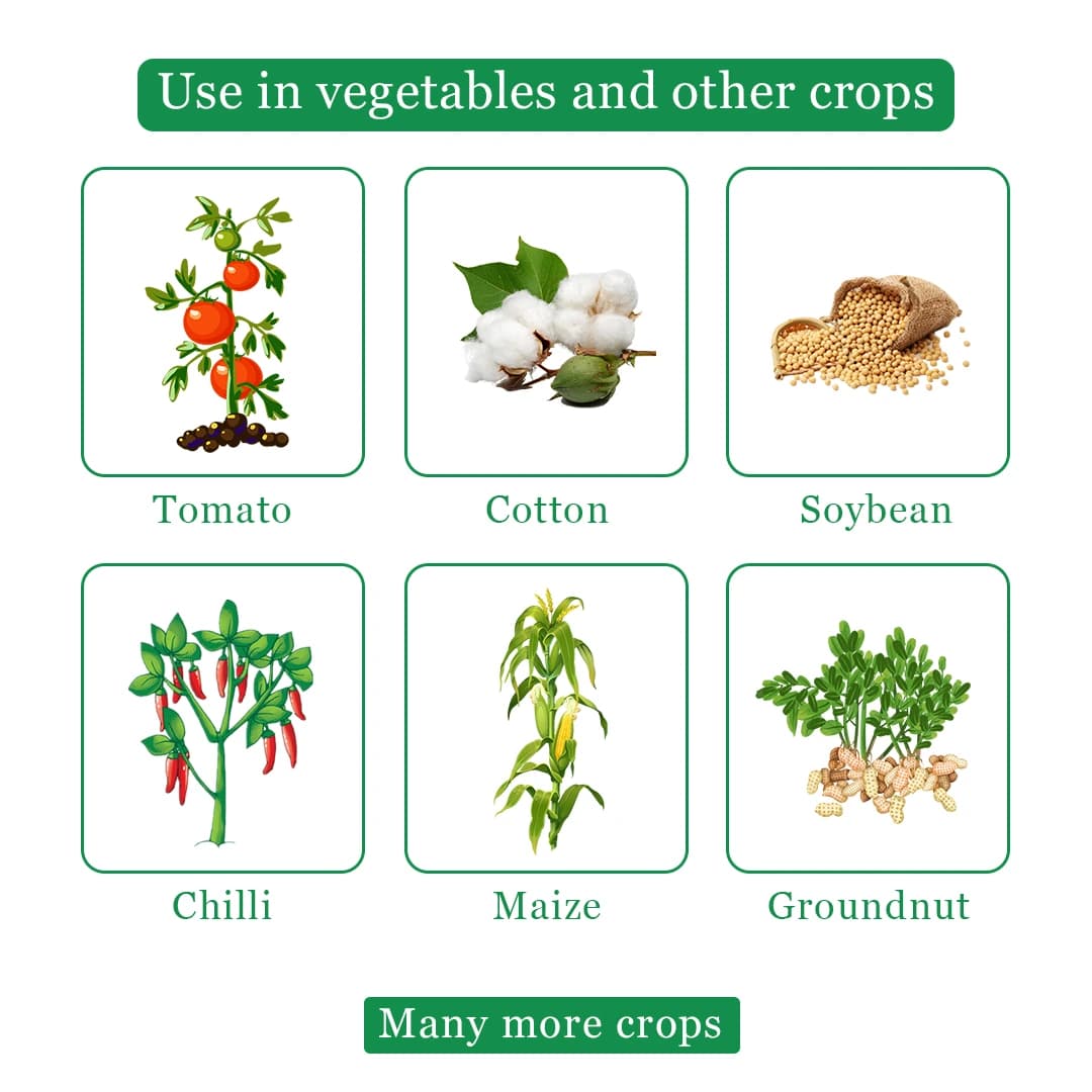 Agriventure Thilamcy Insecticide - Thiamethoxam 12.6% + Lambda-Cyhalothrin 9.5% Zc - Image 4