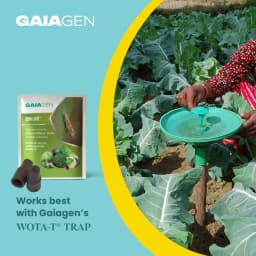 Gaiagen DBM Lure and Traps Pheromone Lure for Diamondback Moth (Plutella xylostella) & Insect Water Trap (Wota-T) 9