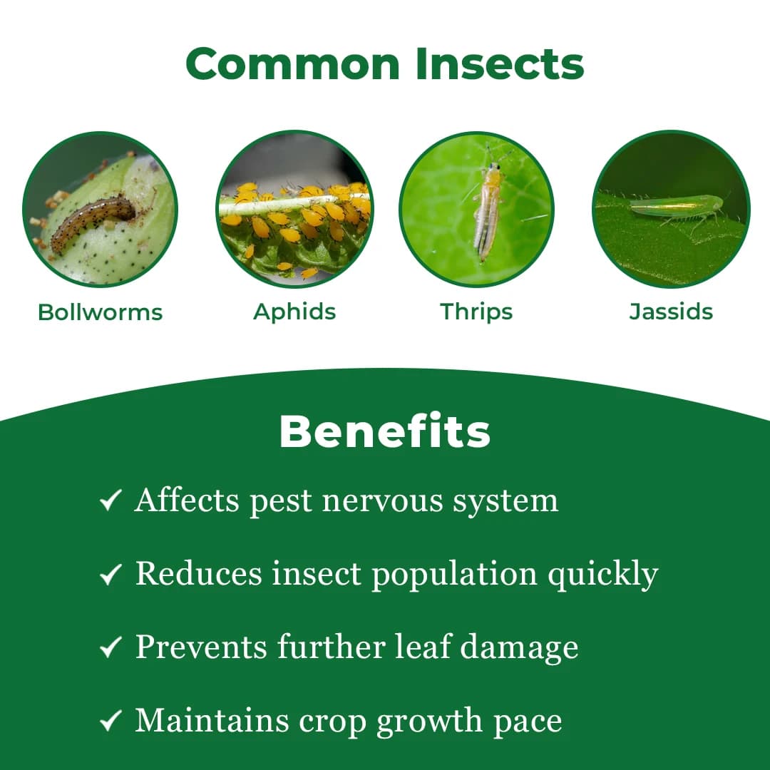 Exylon Exypride 20 Acetamiprid 20% SP Insecticide, Effective For Sucking Pest Control - Image 3