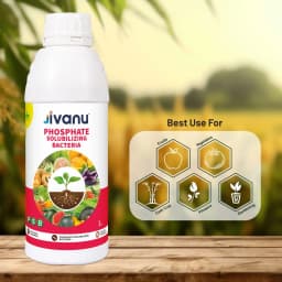 Green Revolution Jivanu PSB Phosphate Solubilizing Bacteria Liquid Bio Fertilizer, Improves Nutrient Uptake 7