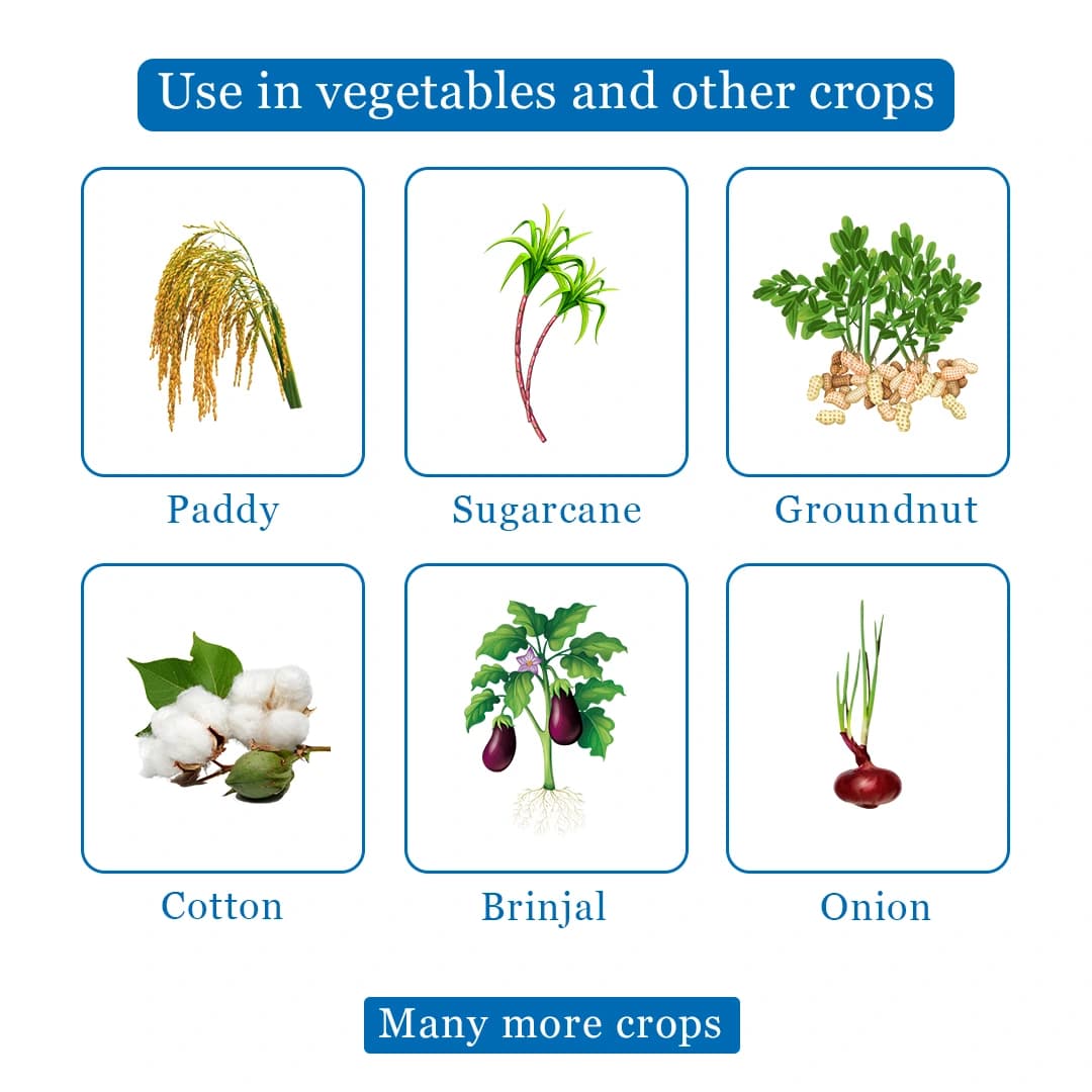 IIL Lethal 20% EC - Chlorpyriphos 20% EC Insecticide, Sucking and Soil Pests Controller, Control Over All Over Sucking, Biting - Image 4