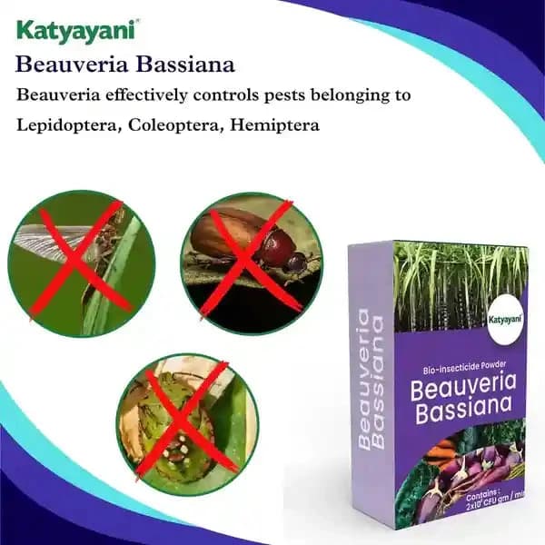 Katyayani Beauveria Bassiana Bio Insecticide Powder, Advanced Natural Insect Control Solution & Pest Management - Image 5