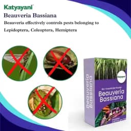 Katyayani Beauveria Bassiana Bio Insecticide Powder, Advanced Natural Insect Control Solution & Pest Management 5