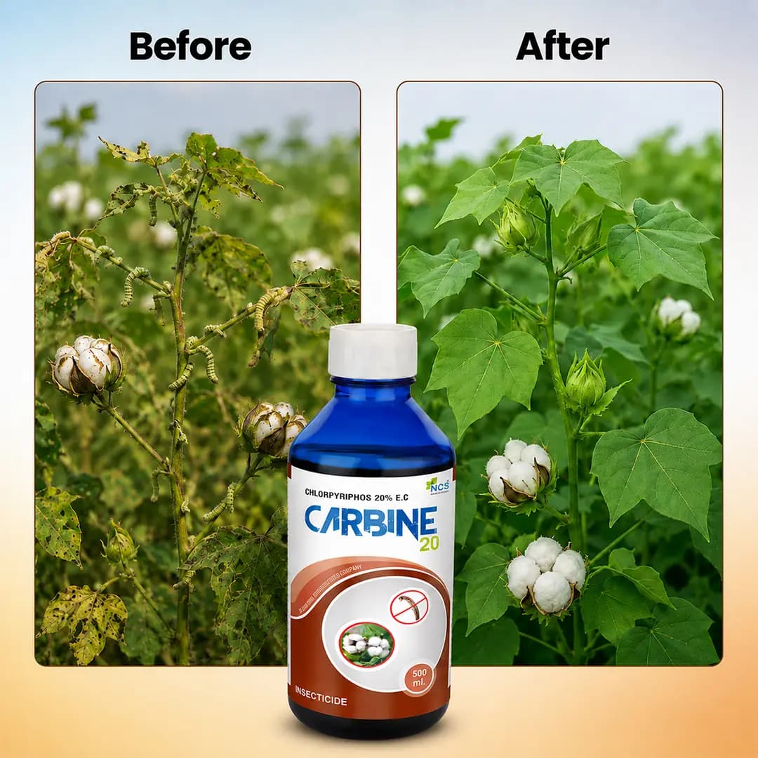 NCS Carbine 20 Insecticide - Chlorpyriphos 20% EC - Image 6