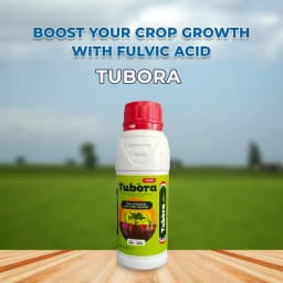 TUBORA - Fulvic Mineral And Nutrient For Better Immunity Of Plant And Leaves 2