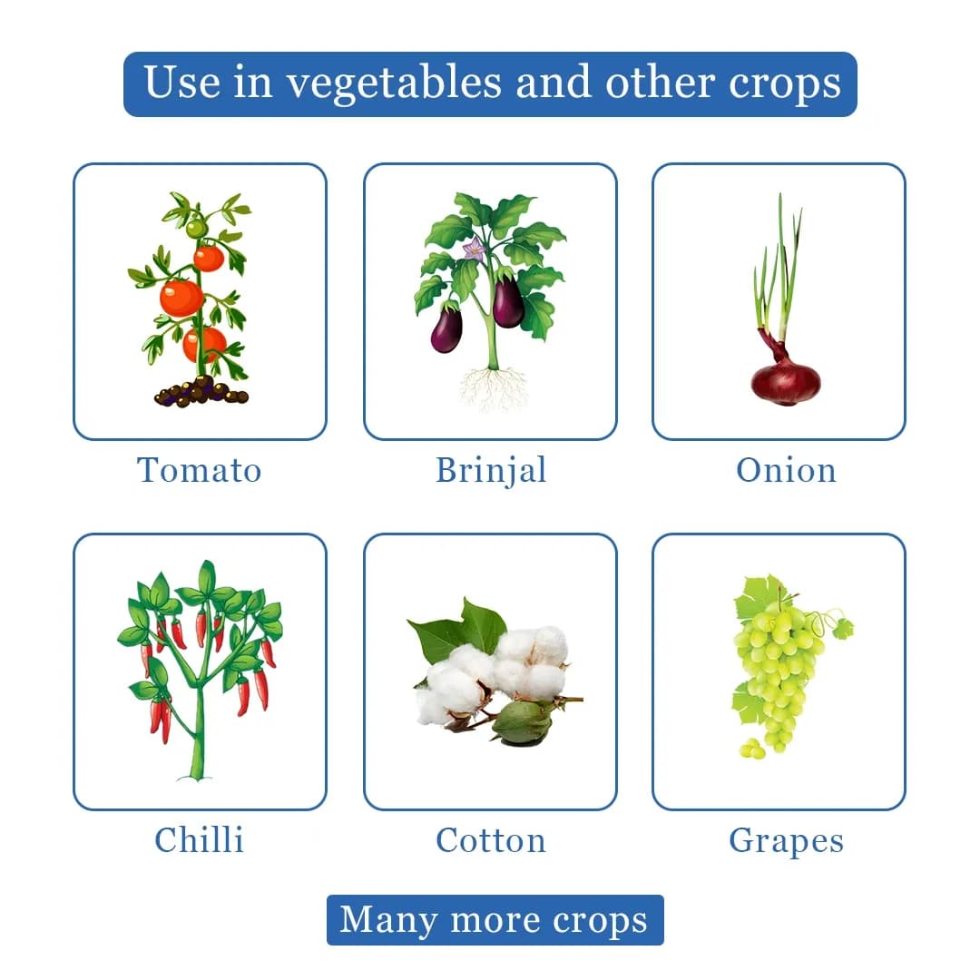 NCS Alpha - Botanical Extract For Thrips & Mites - Image 4