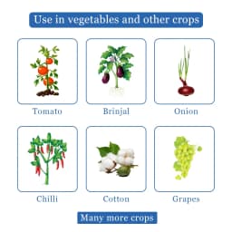 NCS Alpha - Botanical Extract For Thrips & Mites 4