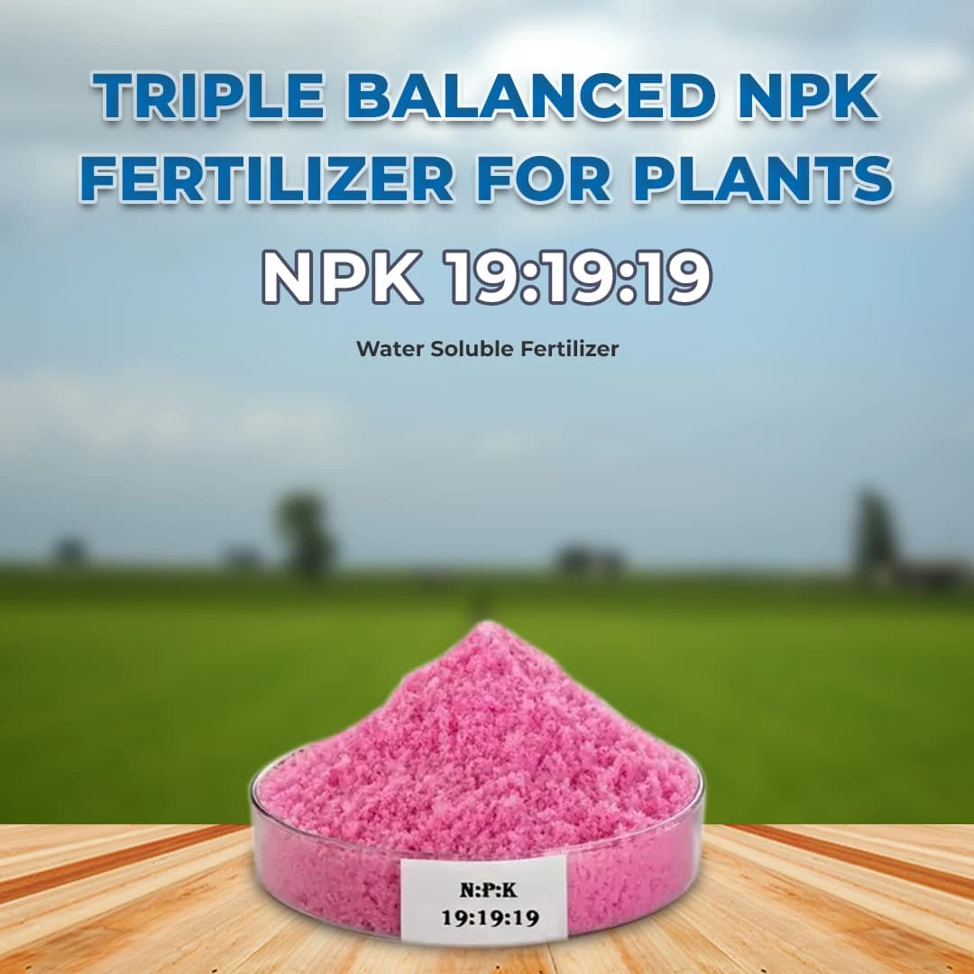 NPK 19:19:19 Fertilizer - 100% Water Soluble - Image 2