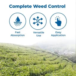 Bayer Monsanto Roundup Glyphosate 41% SL, For Killing all Weeds Non-Selective 3