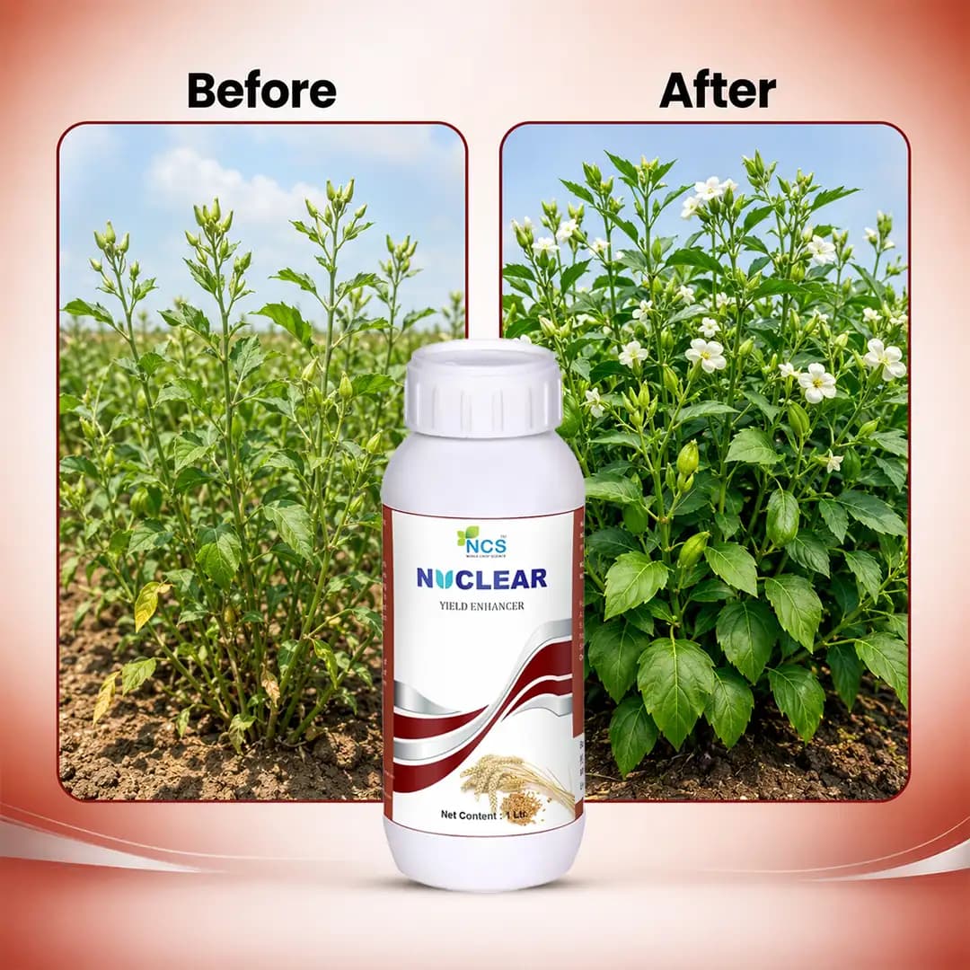 NCS Nuclear Yield Enhancer - Image 6
