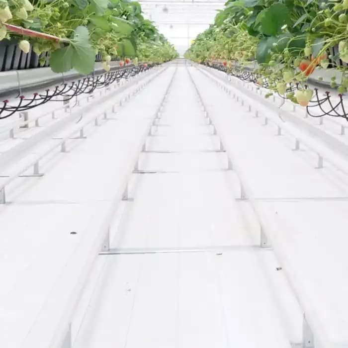 Singhal 150 GSM Weed Barrier Sheet, Landscape Fabric, Heavy Duty, Weed Block Gardening Mat For Gardens (White) - Image 6