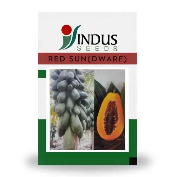 Indus RED SUN (DWARF) F1 Hybrid Papaya Seeds, Uniform Fruits, Tolerant To Ringspot Virus