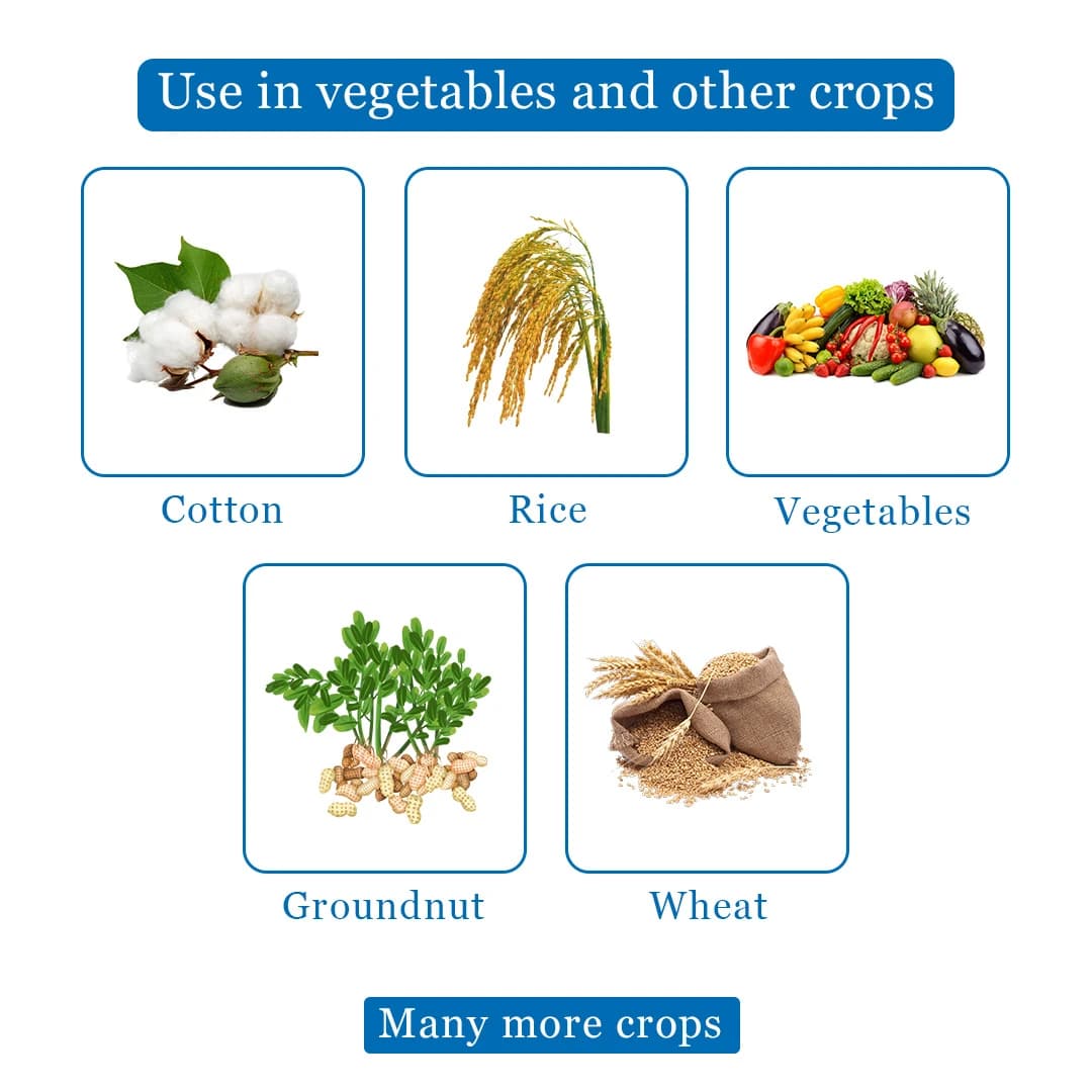 Sellrod - Chlorpyrifos 50% EC - Image 4