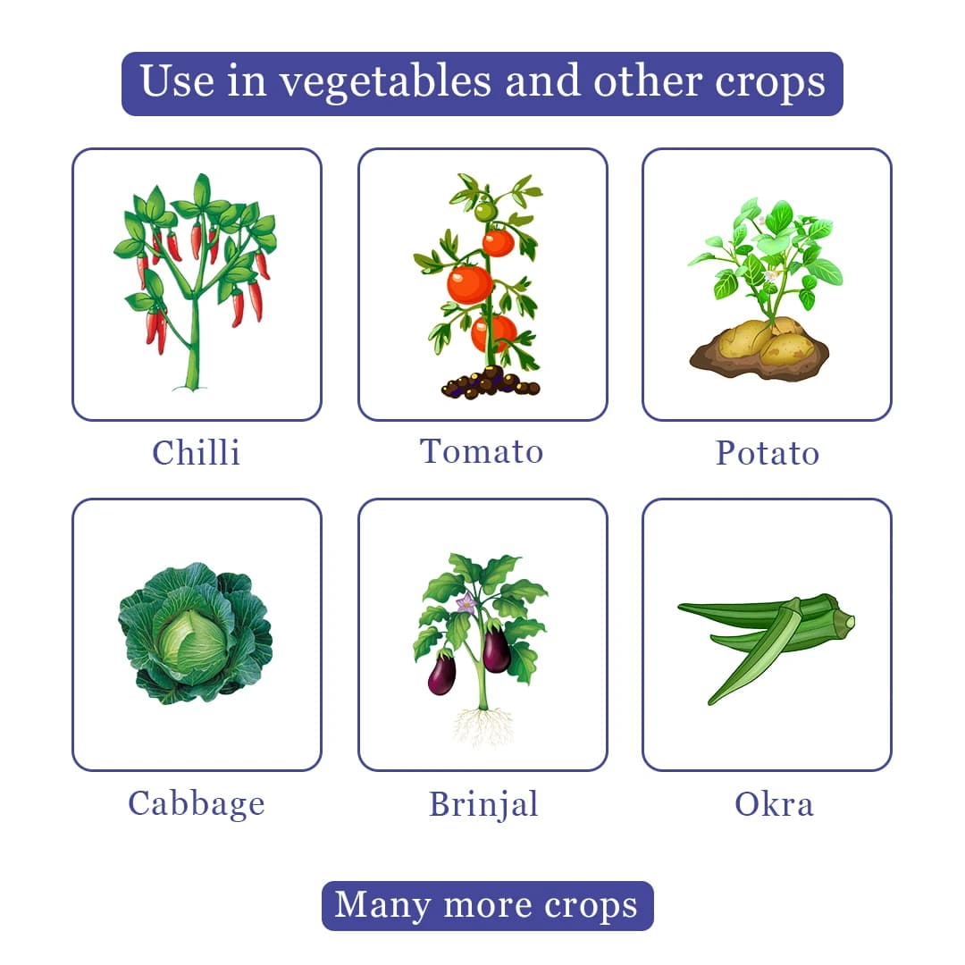 Titan Agritech TRIO METHOXAM 25 Thiamethoxam 25% WG Insecticides, Effective Control of Caterpillars, Mosquito and Other Flies In Crops - Image 4