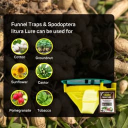Chipk Pheromone Trap Funnel With Spodoptera Litura Lure For Brown Spotted & Tobacco Caterpillar, Useful In Cotton, Sunflower, Caster, Groundnut Crops. 4