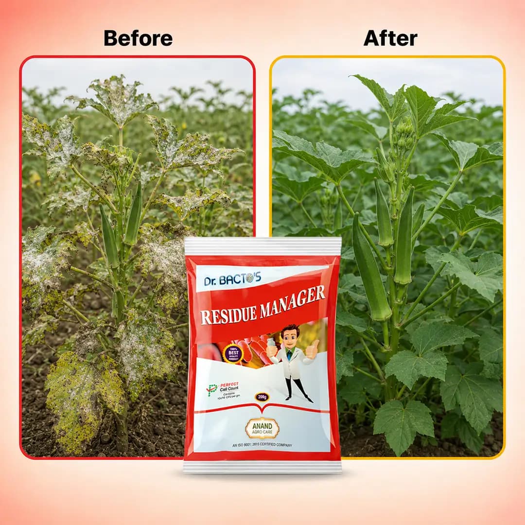 Dr. Bacto's Residue Manager, Reduce The Activity of Fungal Disease. Reduce the Fungal Diseases Like Powdery Mildew and Anthracnose. - Image 3