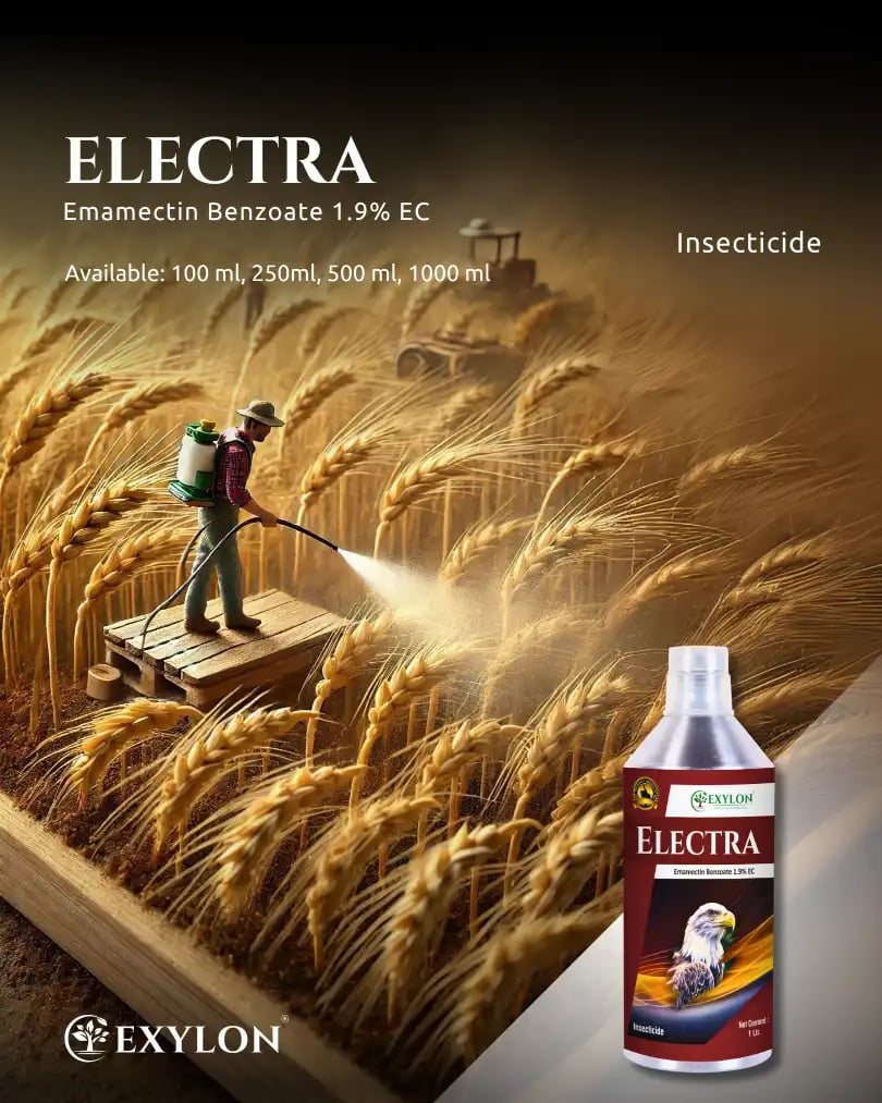 Exylon Electra Emamectin Benzoate 1.9% EC Insecticide, Effective Pest Control In Vegetables And Fruits Crops