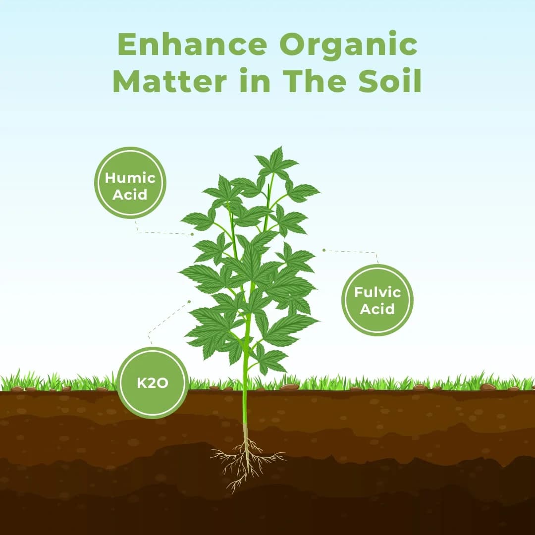 Hubel Humic Acid - Super Potassium Humate 98% - Image 3